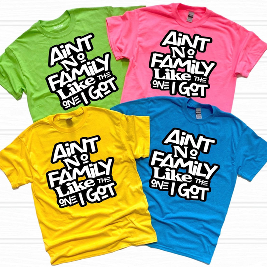 Ain't No Famiy